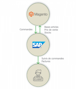 Schema Connecteur Magento