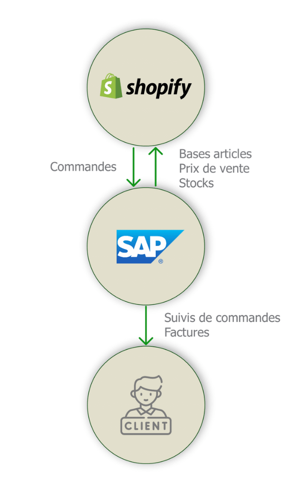 Schema Connecteur Shopify